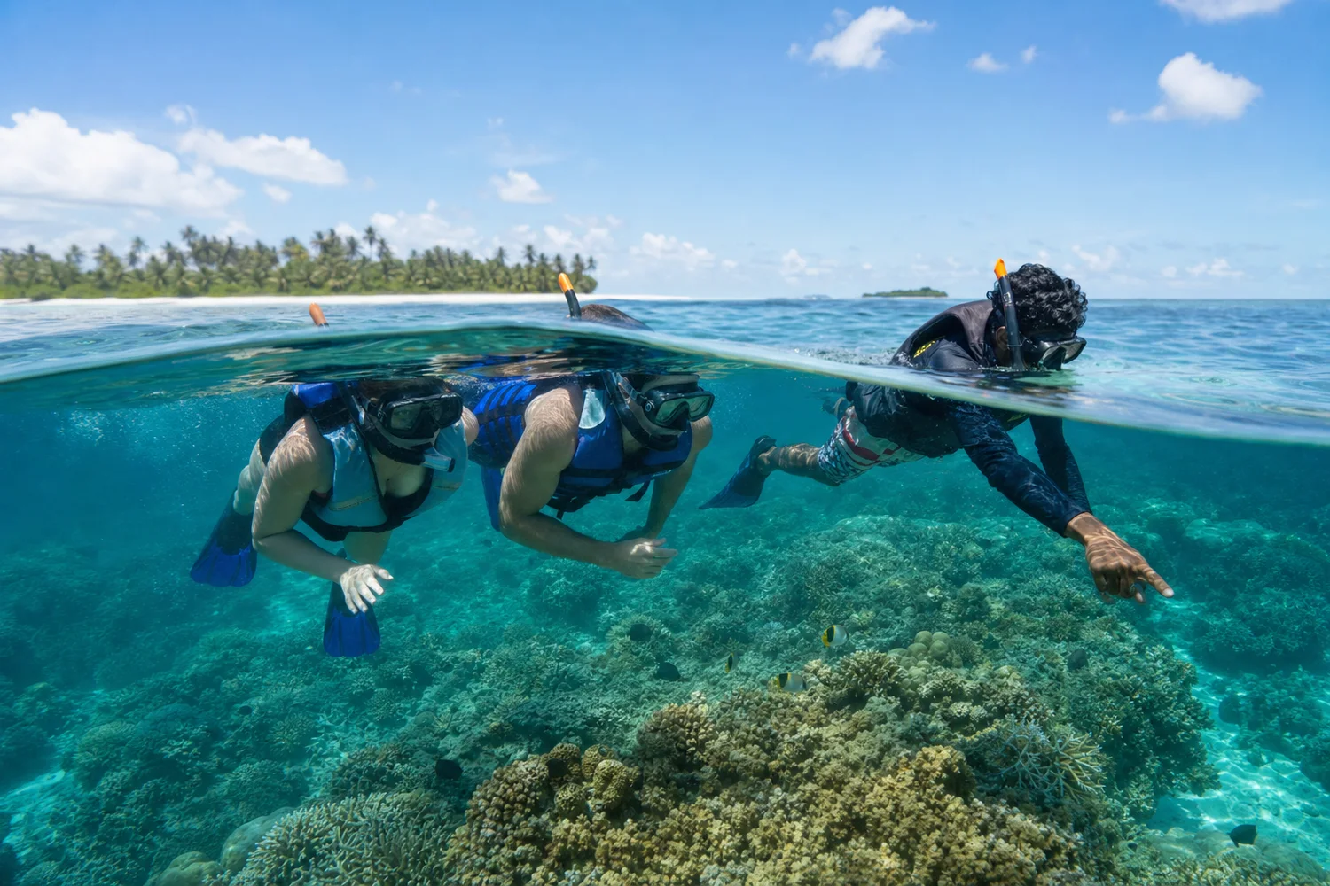 Kadmat Reef Lookout Excursion — activity reef snorkel